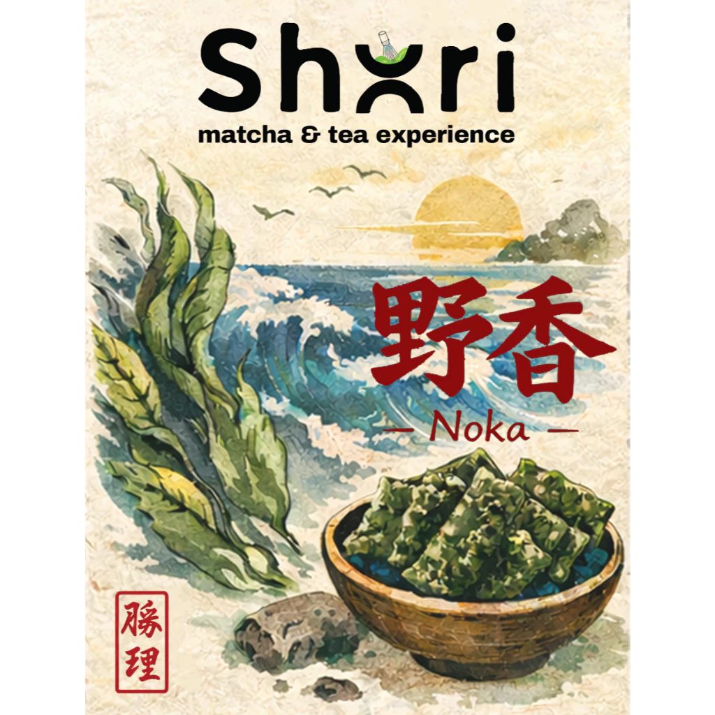 Noka